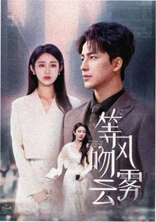 我的团长我的团 - 青柠影院在线播放